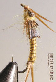 Cover for the Current Seasonal Catalog